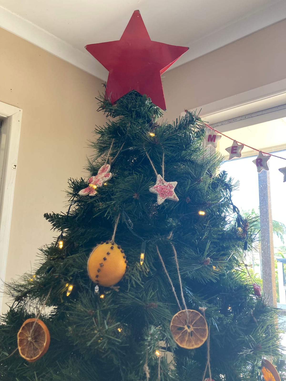 Christmas Tragedy, Pagan Myths, and the Real Christmas Story